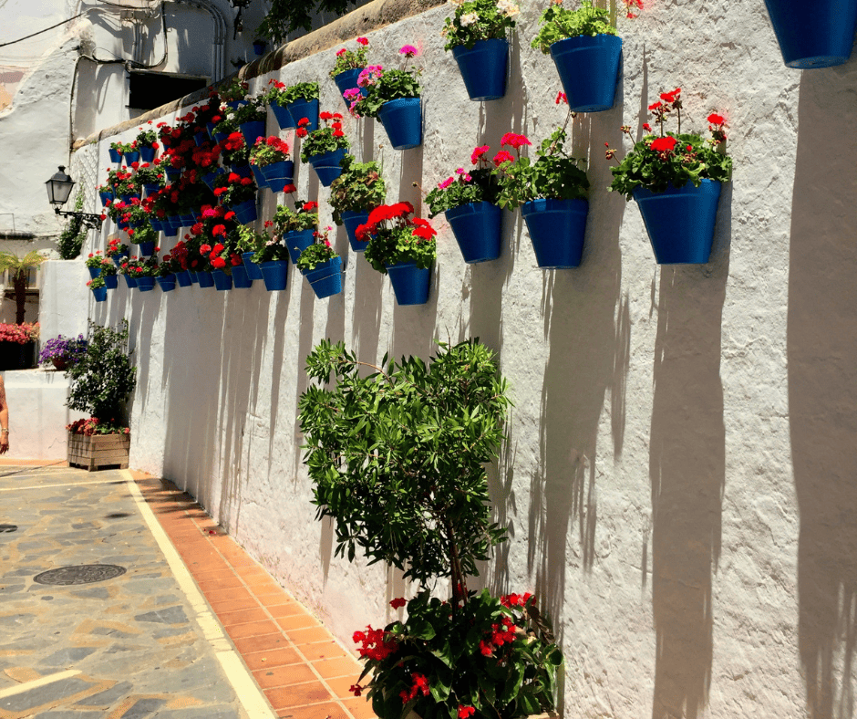 Entrada sin título 26039