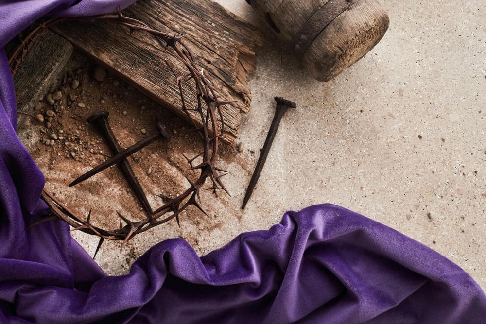 Entrada sin título 26265