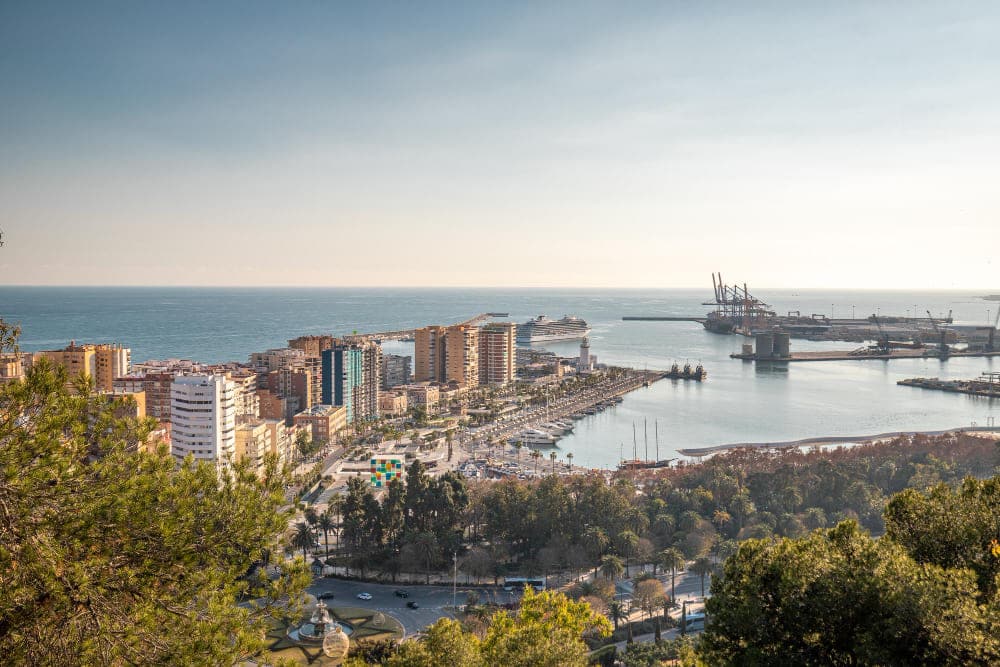 Entrada sin título 26396